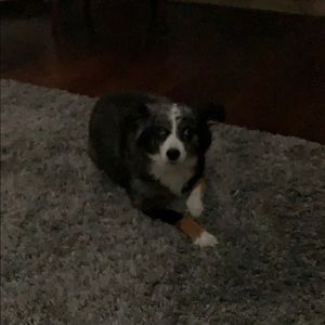 Meet your Posher, Rodney